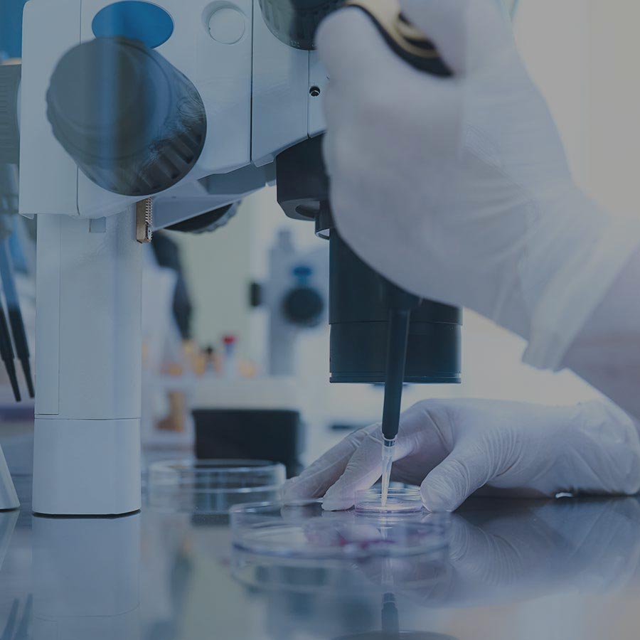 image of embryo in a lab