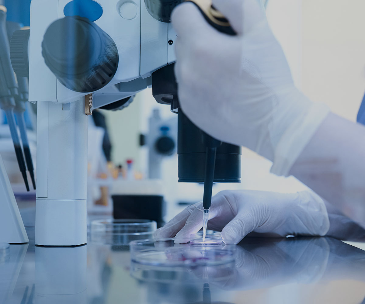 image of people signing a gestational contract